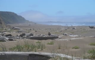 Northern California beach strewn with logs