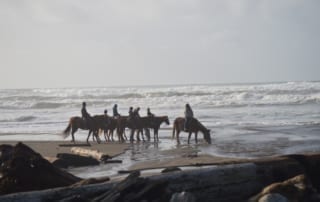 Group of people horseback riding on Irish Beach in Northern California