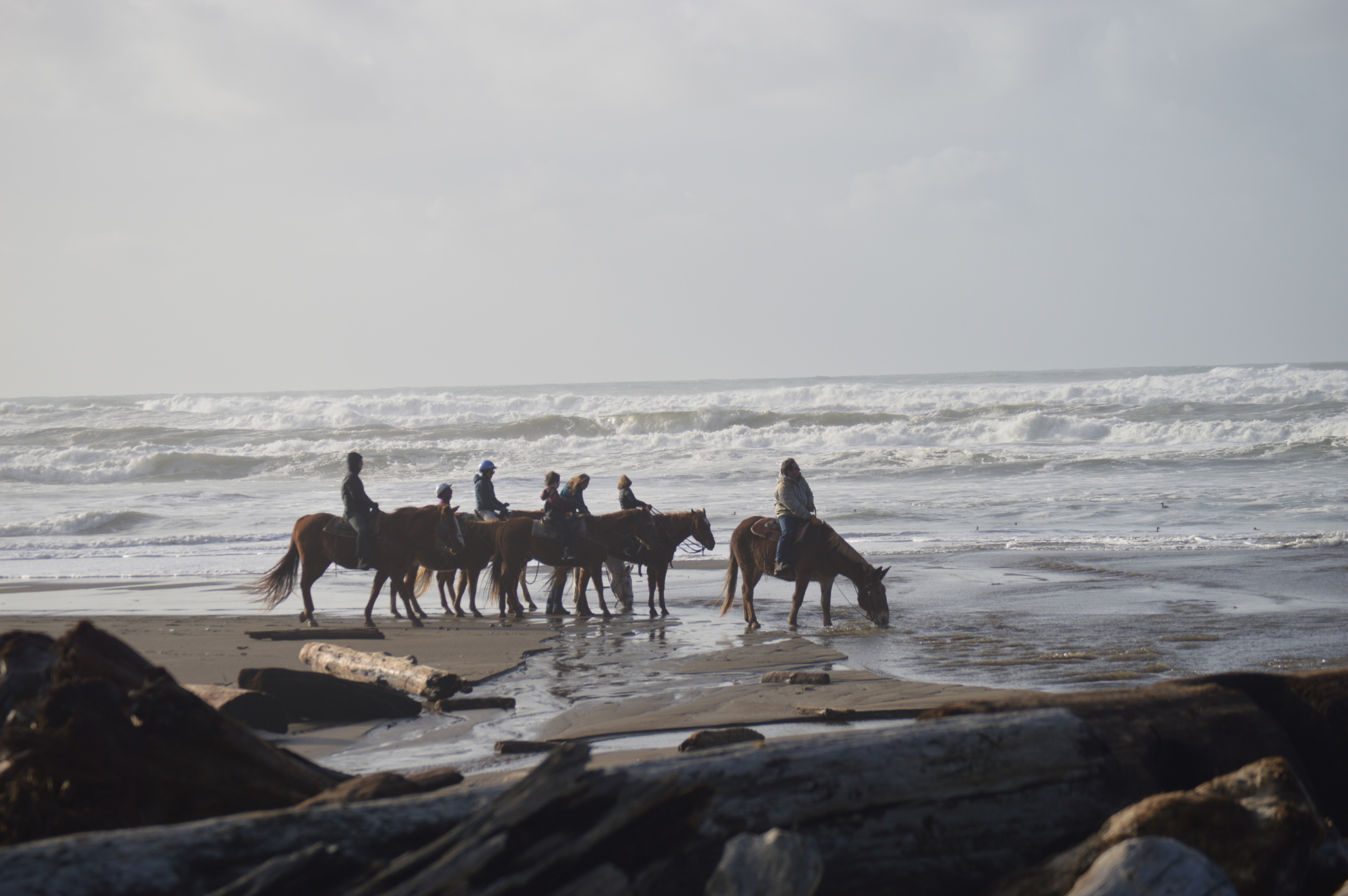 DSC_0631 Group of people horseback riding on Irish Beach in Northern California