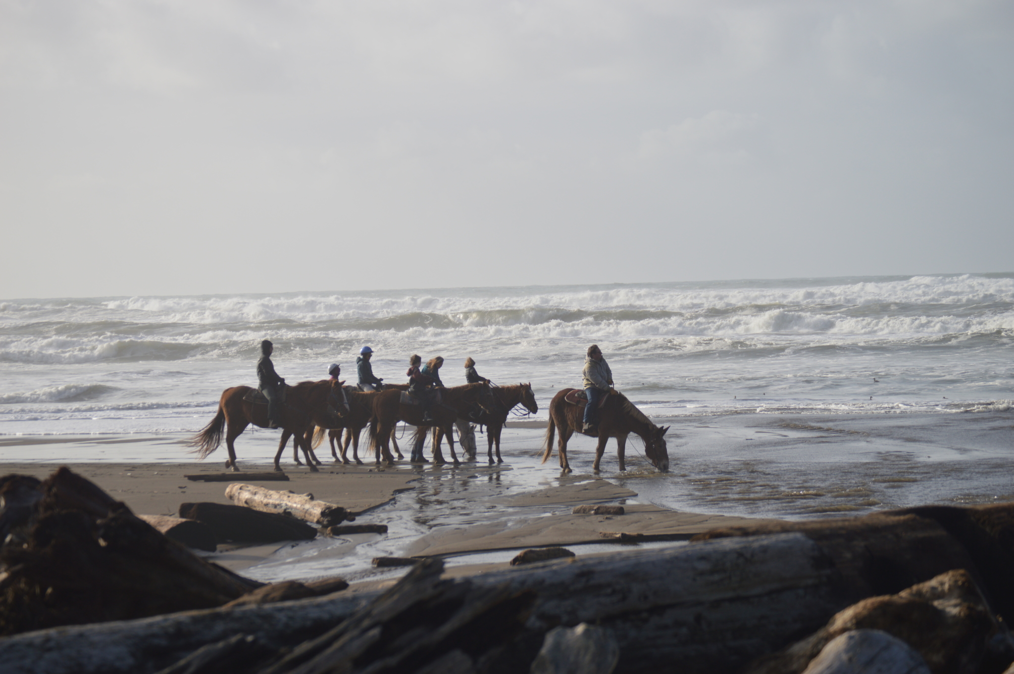 Group of people horseback riding on Irish Beach in Northern California