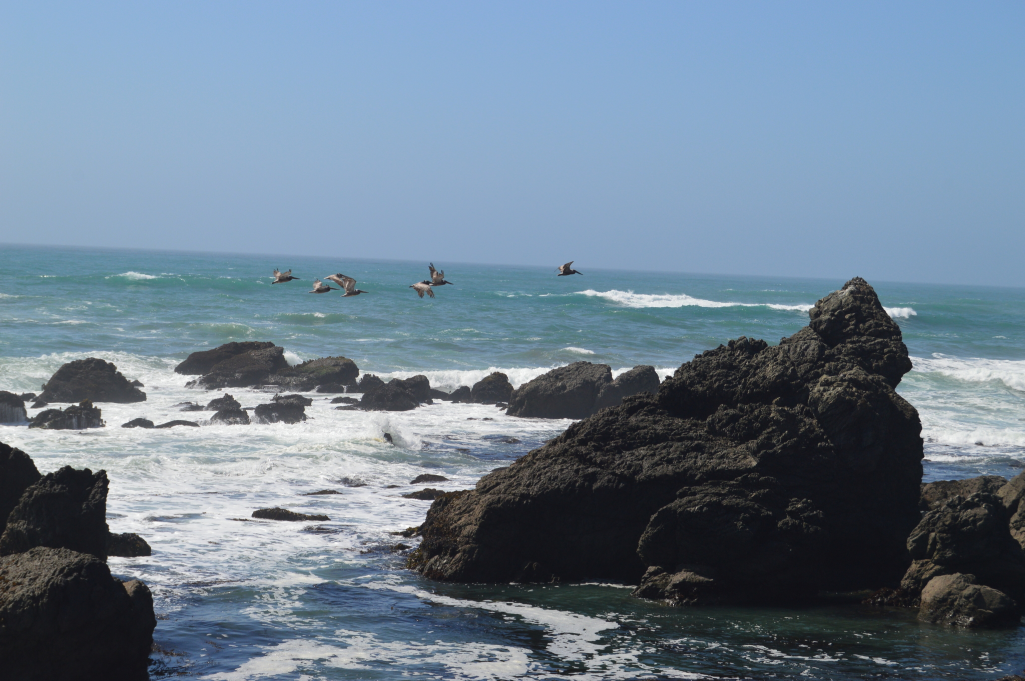 Experience  Northern California Rentals  Irish Beach 