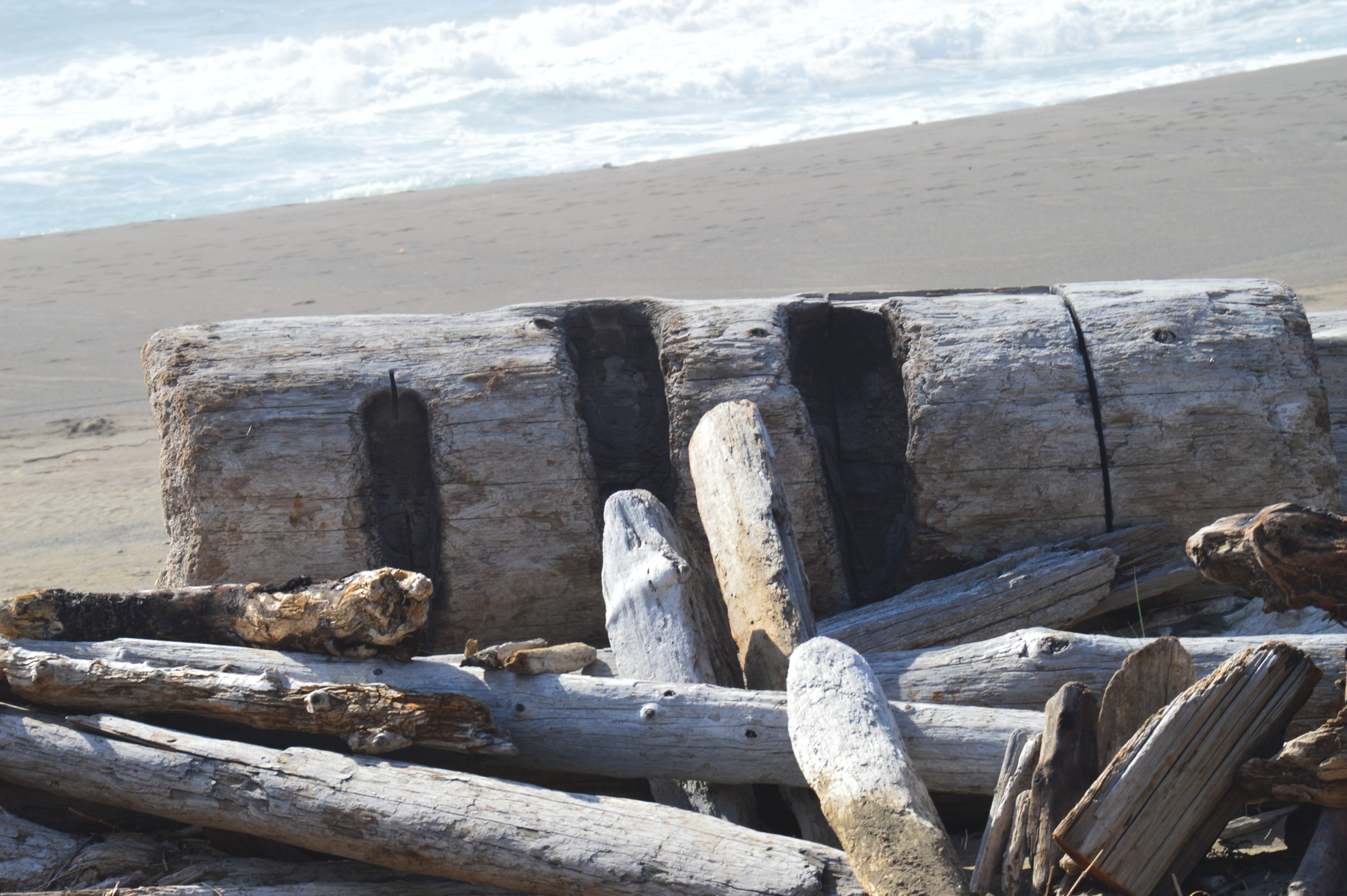 Pile of various sized logs that have washed up on Irish Beach in California