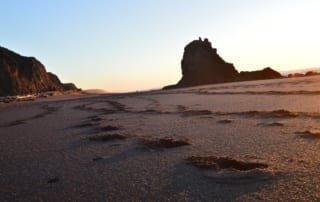 California sandy beach with footprints at sunset