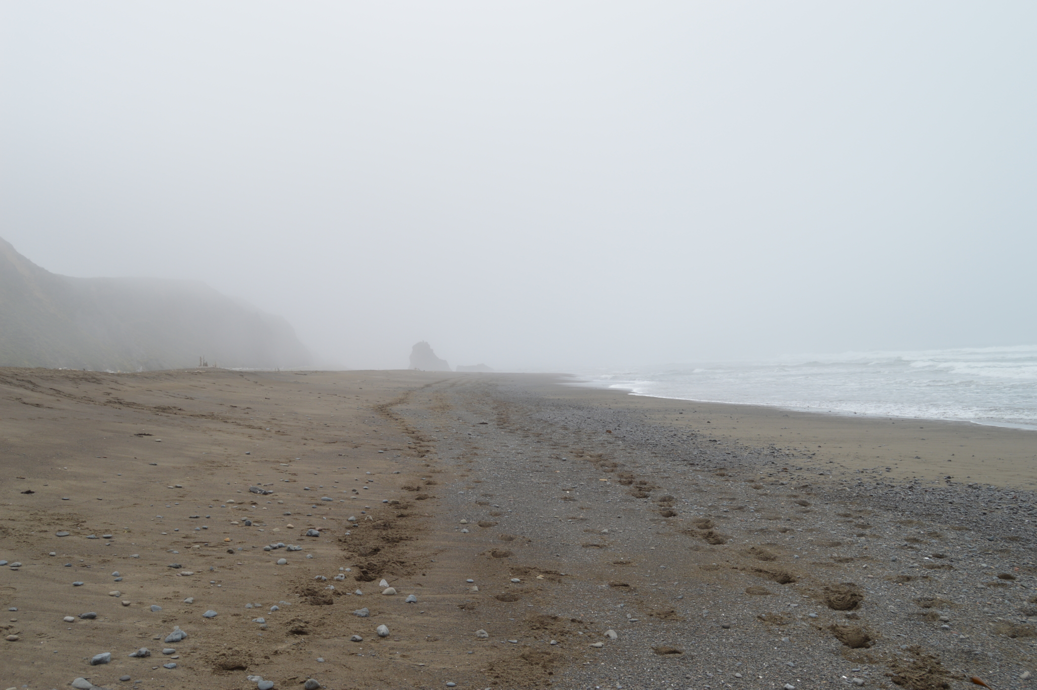 Footprints on a Northern California beach on a foggy day