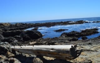 Wooden log laying on rocky ocean shore in Northern California