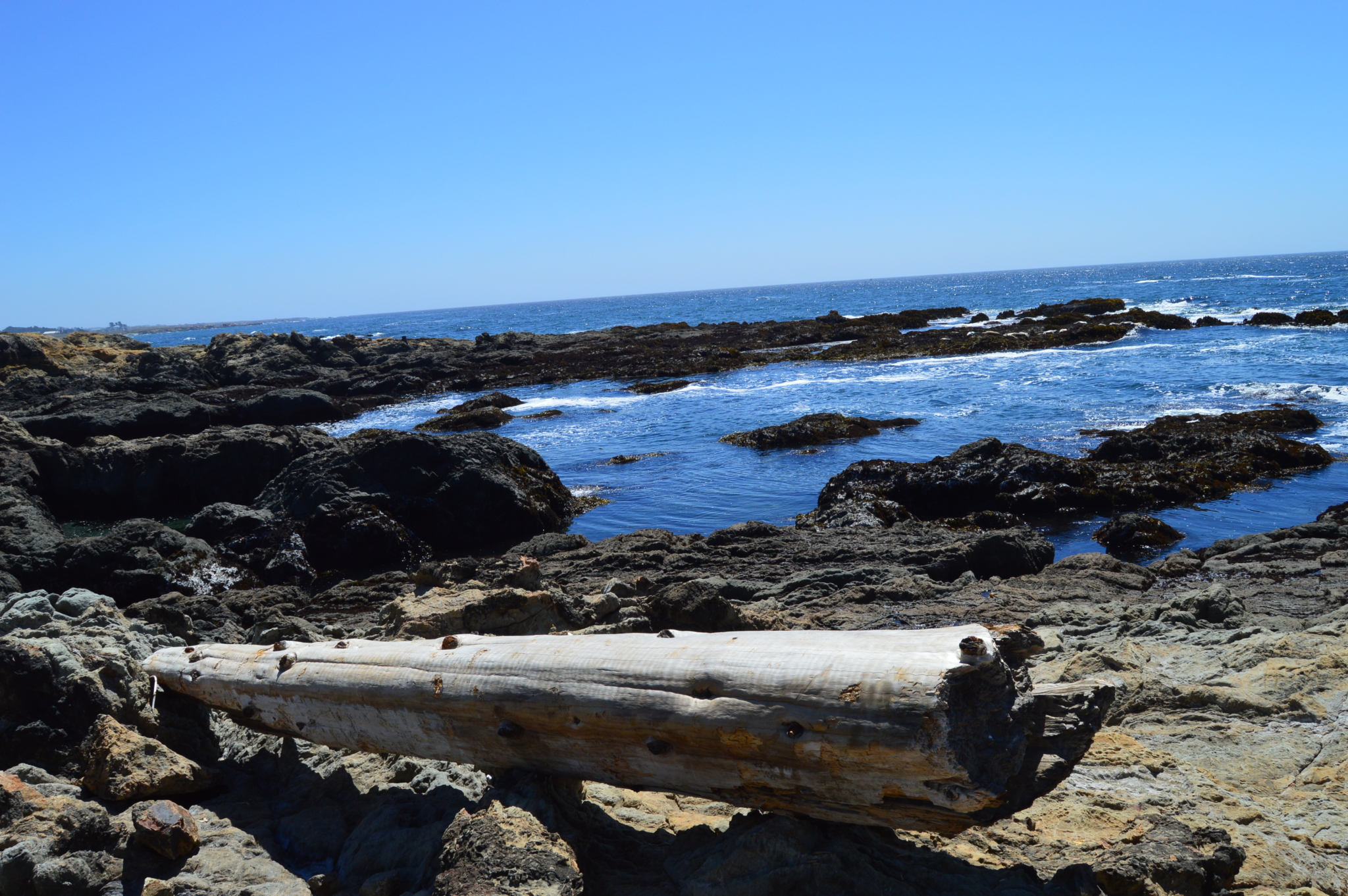 Wooden log laying on rocky ocean shore in Northern California