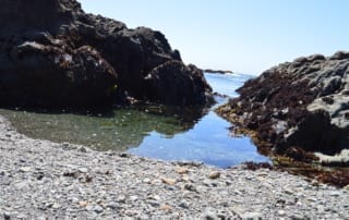 Small pool of water surrounded by rocks on rocky beach