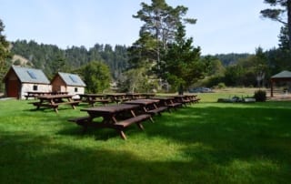 Group of picnic tables in a park on a clear day