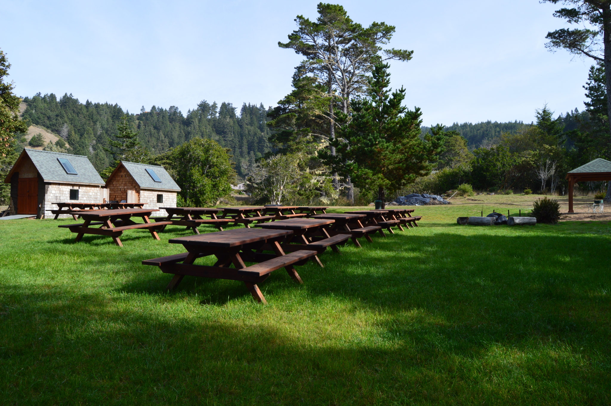 Group of picnic tables in a park on a clear day
