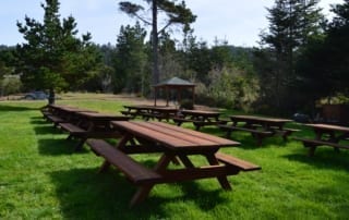 Nine wooden picnic tables sitting on green grass near trees